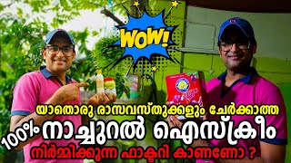 100% Natural Ice Cream | യാതൊരു രാസവസ്തുക്കളും ചേർക്കാത്ത 100% നാച്ചുറൽ ആയി ഉണ്ടാക്കുന്ന ഐസ്ക്രീം