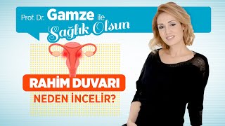 Rahim Duvarı İncelmesi: Nedir? Neden Olur? Belirtileri Nelerdir? Tedavisi ve Ameliyatı