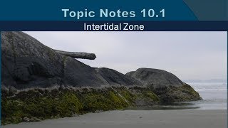 Topic Notes 10.1: Intertidal Zone