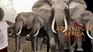 #AdventureAfrica Day 1, Chapter 2: My Big Elephant Surprise