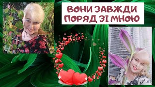 Мої кімнатні рослини взимку сьогодні 25 січня 2024 року. Це тільки їх  третя частина