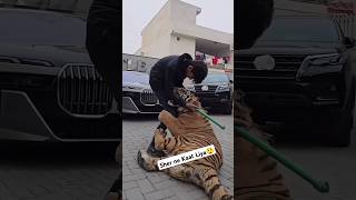 Sher Ne Kaat Liya #youtubeshorts #shorts #viral #trending #animals