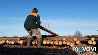 НАЧАЛО СТРОЙКИ корю бревна//РЕМОНТ ТРАКТОРА