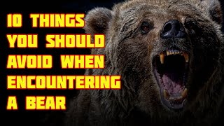 10 things you should avoid when encountering a bear