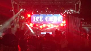 Ice Cube performs Today Was A Good Day at Ultra Music Festival Miami 2017