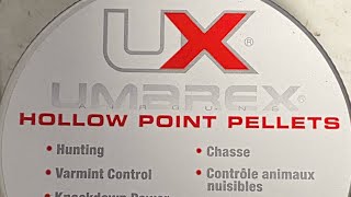 Pellet testing umarex hollow point using custom Crosman Franken-fire