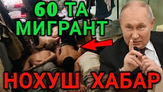 🇷🇺РОССИЯДА 🇺🇿🇹🇯🇰🇬 60 ТА МИГРАНТ ХАКИДА НОХУШ ХАБАР МИГРАНТЛАР ТАРКАТИНГ