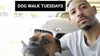 DOG WALK TUESDAY THOUGHTS 11/19/24