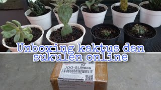 UNBOXING KAKTUS DAN SUKULEN BELI ONLINE DI INSTAGRAM || FLASH DEAL #1