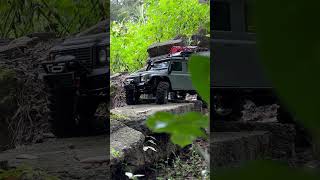 TRX4’s explore Ocala national forest