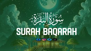 Surah Al- Baqarah  (سورة البقره) Relaxing Heart Soothing Voice Recitation | Qari Tajul Islam