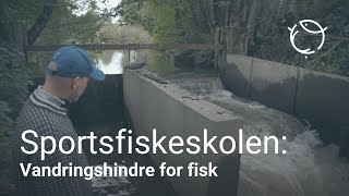 Sjøørretriket | Vandringshindre for fisk