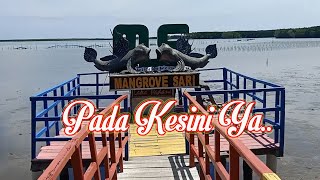 Wisata Favorit : Hutan Mangrove  Pandansari Brebes EPS. 2 ( WISATA BREBES )