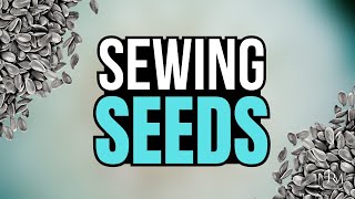 Sewing Seeds 🌱