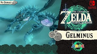 The Legend of Zelda: Tears of the Kingdom: GELMINUS - NO DAMAGE