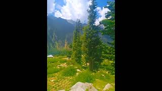 Natural beauty of Kumrat valley #yutubeshorts #kumrat_valley #mylovelypakistan subscribe 👇