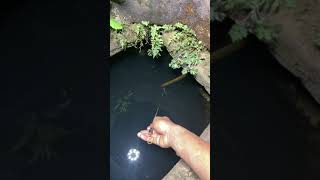 Amazing Rural Fishing Video 🐟 Best Asian Fishing Technique 🐟 #shorts