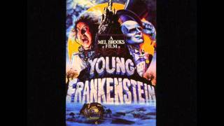 14 - Theme From Young Frankenstein