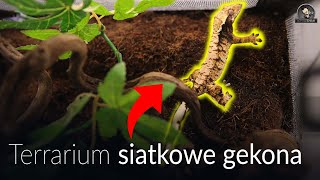 ŚCIANKA DO TERRARIUM SIATKOWEGO DLA GEKONA ORZĘSIONEGO