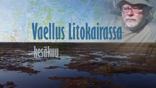 Hellevaellus Litokairan suoerämaassa, kesäkuu