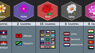 How Many Countries Have The Same National Flower