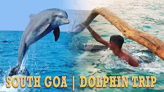 Dolphin Sighting | Agonda & Palolem Beach South Goa 2021