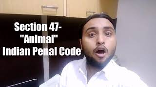 Section 47 IPC - "Animal" | by Dwivendra Dubey