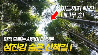 피톤치드 가득한 섬진강 숨은 여행지! // 대나무숲 산책로 // 힐링 여행지 // 백색소음