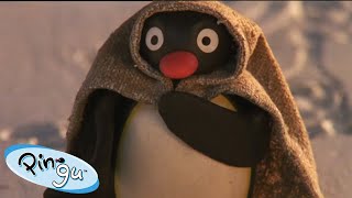 Pingu's Snowman Adventure 🐧 | Pingu - Official Channel | Cartoons For Kids