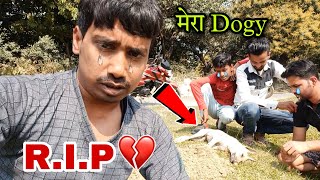 नही राहा मेरा प्यारा डॉगी R I P  😭😭 ऐसा नहीं होना चाहिए था @dontmissvlogs