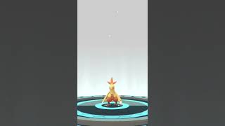 Torchic full evolved in blazican || Pokémon Go