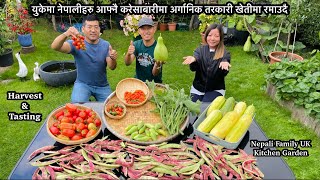 Massive Vegetable Garden Harvesting | October Harvest | Kitchen Garden in England | Nepali Family UK