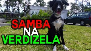 Samba na Verdizela | Vanessa Amaral