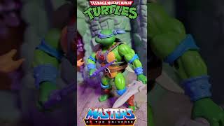 MOTU ORIGINS X TMNT Leonardo He-Man Turtles of Grayskull Figure 🔥!