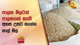 පාලන මිලටත් පාලනයක් නැති අහස උසට නැග්ග හාල් මිල  - Hiru News