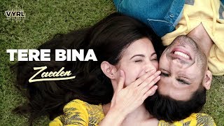 Zaeden Ft. Amyra Dastur - Tere Bina