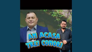 COPII DACA N-AS AVEA