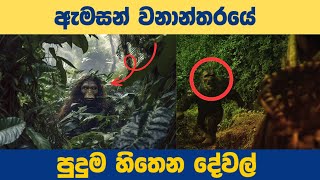 ඇමසන් වනාන්තරයේ පුදුම හිතෙන දේවල් |  Things Hidden Deep Within The Amazon Forest