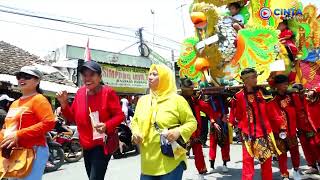 TOANG TAMBI (ANDINI NADA) LIVE DESA TEGAL AGUNG -KEDOKAN