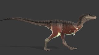 Raptorex Muscle System Rig Video Documentation