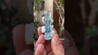 Aquamarine with albite #aquamarine #minerals #mineralsforsale #youtube #stone #gemstone