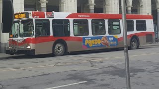 Calgary Transit 2003 New Flyer D40LF #7841 on Route 307 Max Purple East Hills