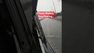 Flood#shortvideo#rain#typhoon #viral#besafe