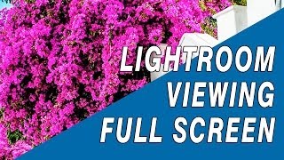 Lightroom 5 Tutorial: Views Full Screen Mode, Lights Out Viewing Tips