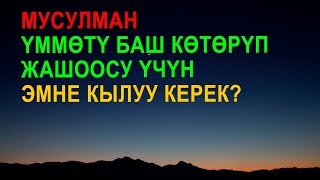 Мусулман үммөтү баш көтөрүп жашоосу үчүн эмне кылуу керек?