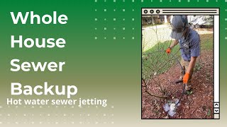 Hot water sewer jetting, complete sewer backup