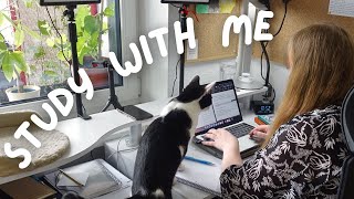 STUDY WITH ME (and my cat) 🐱📚 | 1 hour | No Music, No Breaks