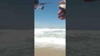 Pesca Spinning con Señuelo