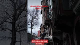 Zalim İnsanlar Seni Bitirmiş Birader..!#music #istanbul #damar #reels #viral #arabesk #followme