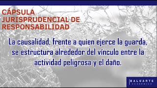 Precisiones sobre la causalidad entre la actividad peligrosa y el daño